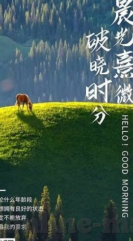 皇冠手机比分网足球比分90vs足球比分-皇冠手机比分网，足球比分90vs的实时魅力与深度解析